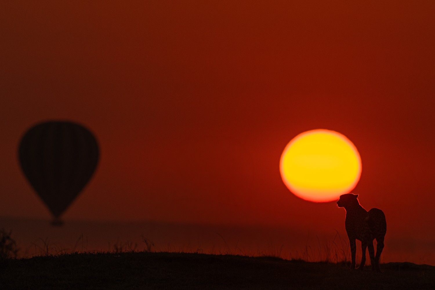 The Magic of Light in the Masai Mara