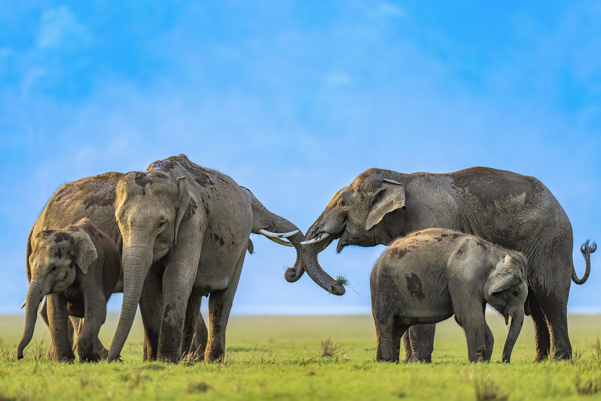 Wildlife Photography Tour vs Regular Safari