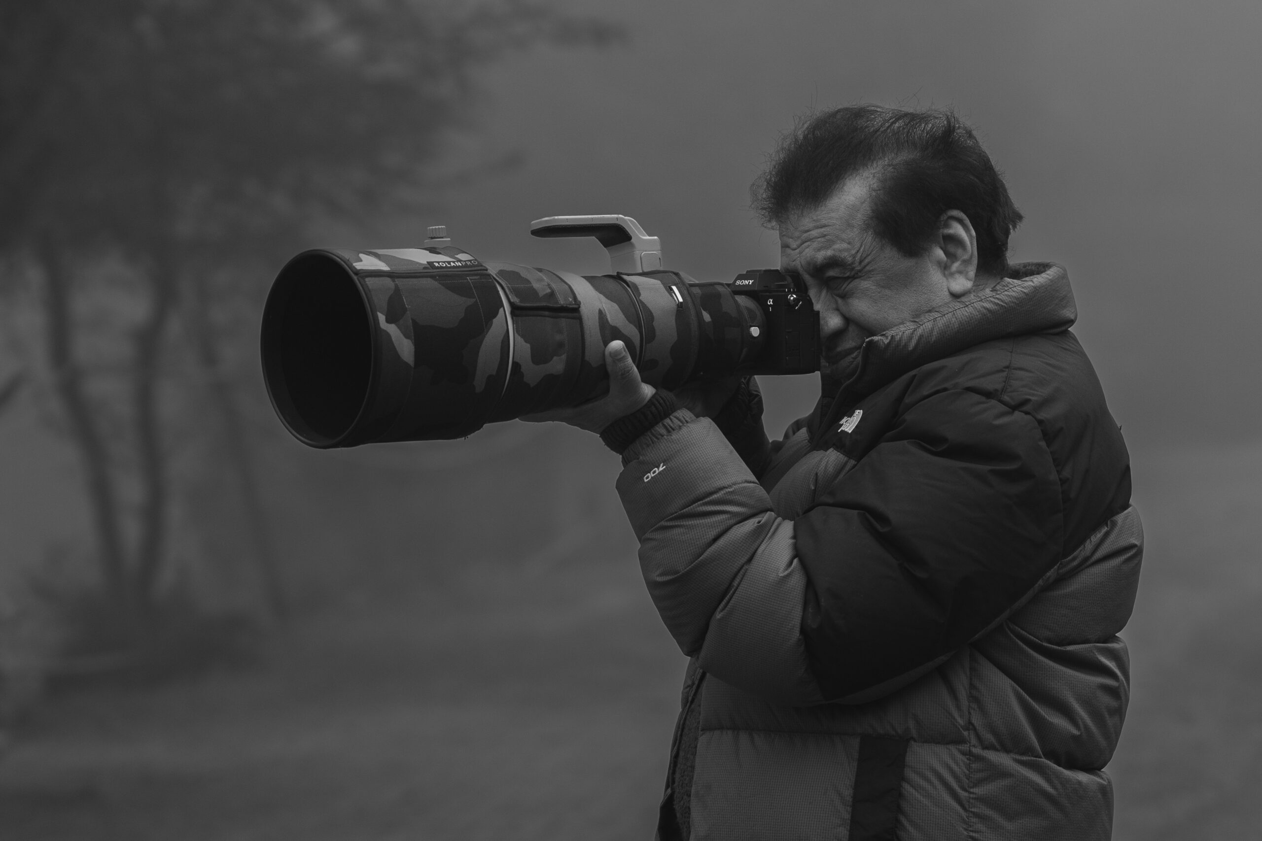 Wildlife Photography Workshops Help Improve Your Photography Skills